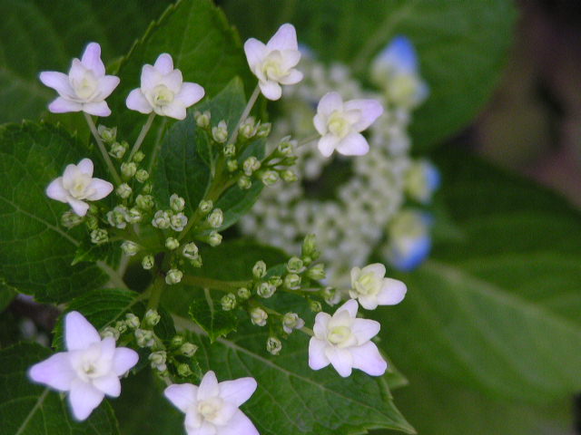 f0074659_2164711.jpg