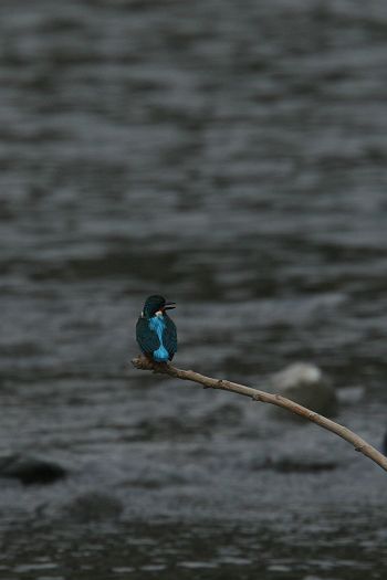 f0103860_1314626.jpg