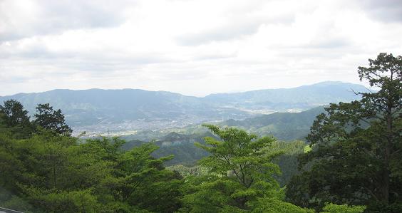 c0001269_1984498.jpg