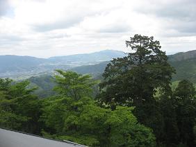 c0001269_1991850.jpg