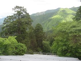 c0001269_199633.jpg