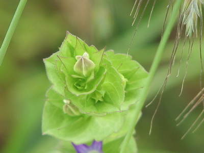 d0050472_20191956.jpg