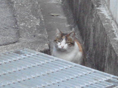 c0023474_14514065.jpg