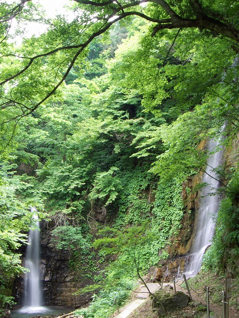 a0096177_1832946.jpg
