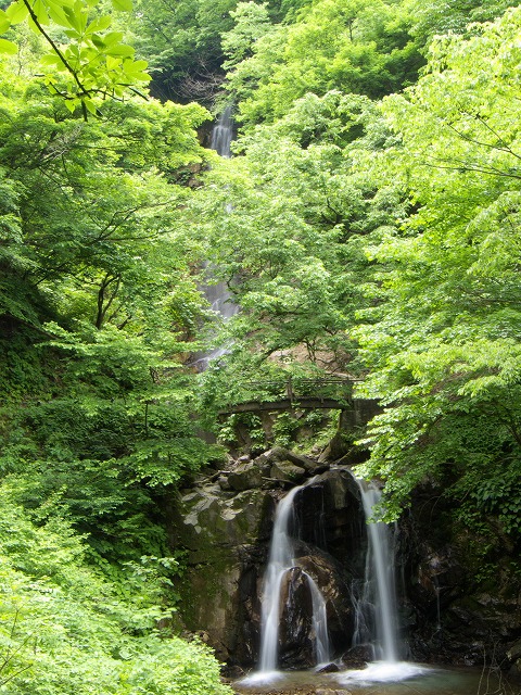 a0096177_18523841.jpg