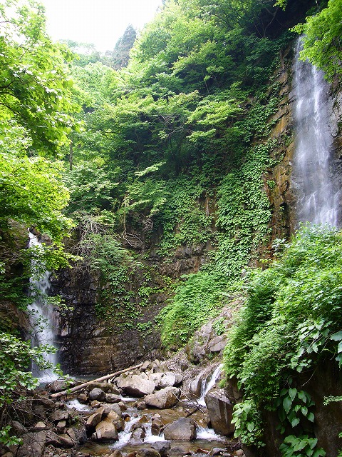a0096177_1971996.jpg