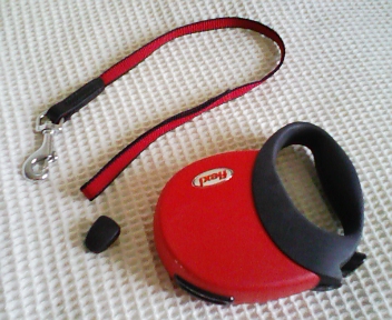 f0126278_22195255.jpg