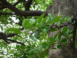 b0042882_23104433.jpg