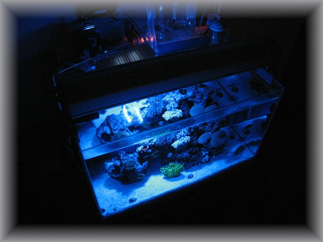 e0115283_0454220.jpg