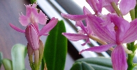 f0003283_21134643.jpg