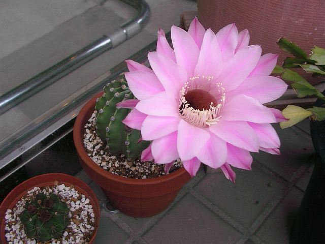 b0062687_20311580.jpg