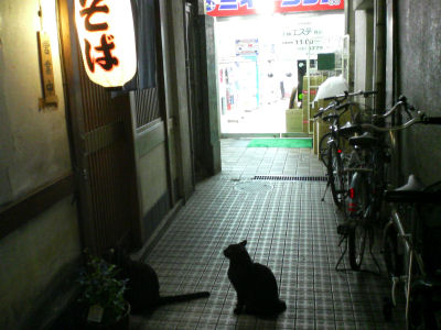a0045990_1523160.jpg