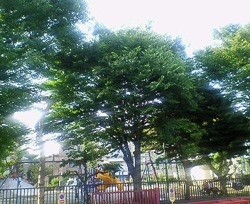 b0039090_1163957.jpg