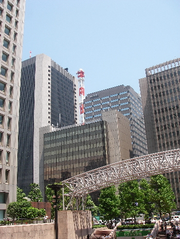 d0046294_722160.jpg