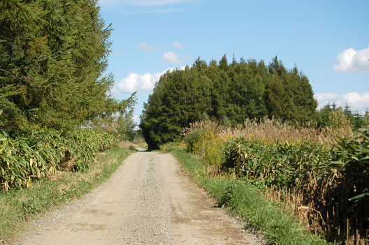 a0062697_23403441.jpg
