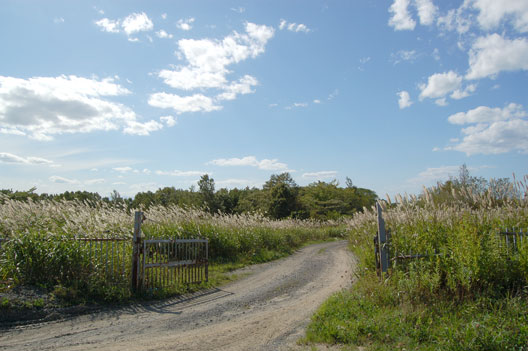 a0062697_23412360.jpg