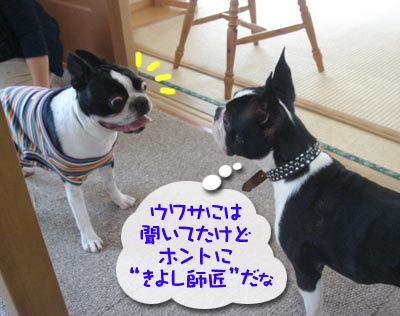 c0094999_1172145.jpg