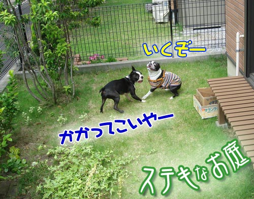 c0094999_3134183.jpg