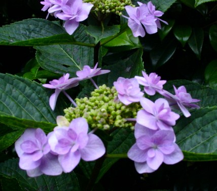 a0031000_22172976.jpg
