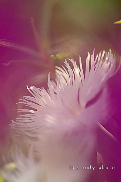 e0008800_048123.jpg