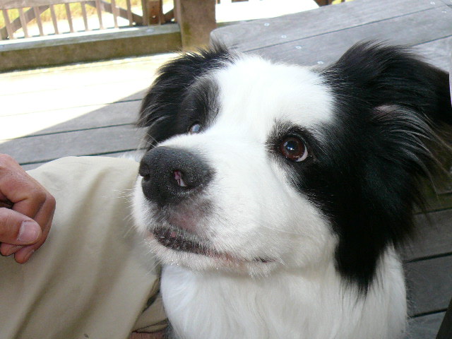 e0028401_18090.jpg