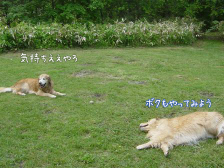 f0064906_1801531.jpg