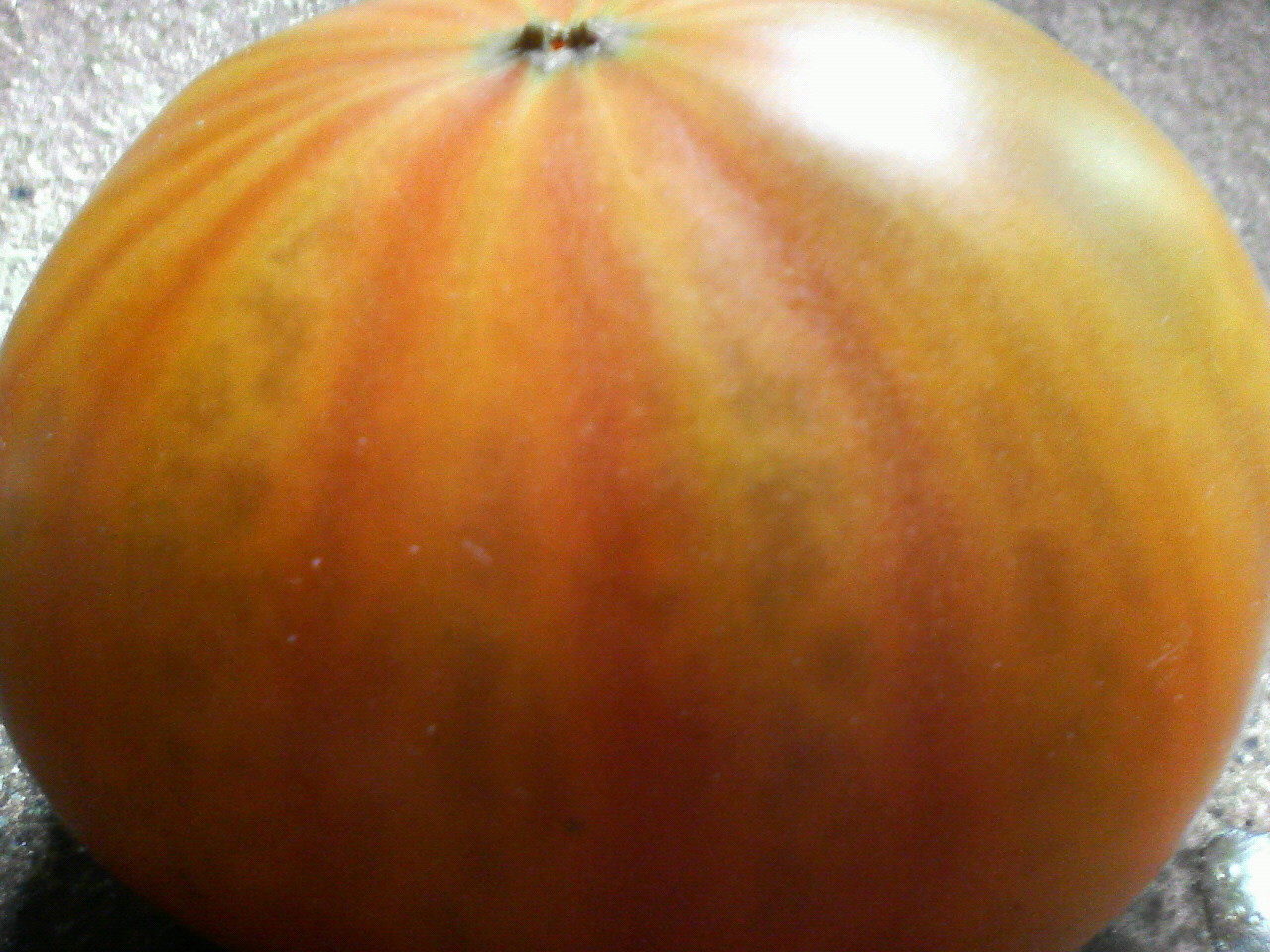 d0000607_1843312.jpg