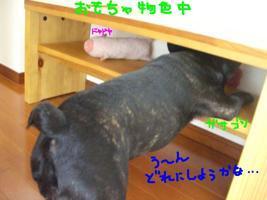 c0113109_2255360.jpg