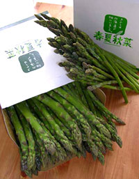 f0036716_1718589.jpg