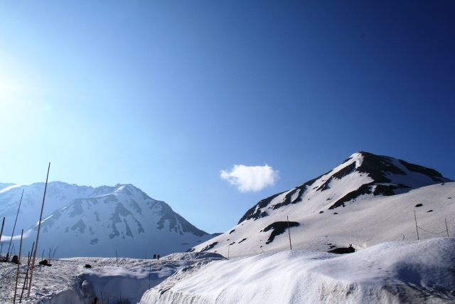 d0027320_2242434.jpg