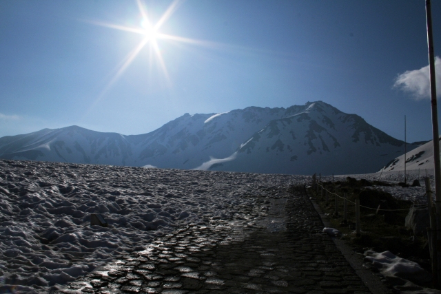 d0027320_2244869.jpg