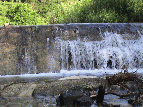 a0097823_17335050.gif