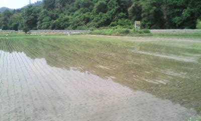 f0076529_11124758.jpg