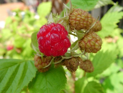 f0002833_23364422.jpg