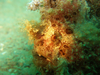 d0065247_2117193.jpg