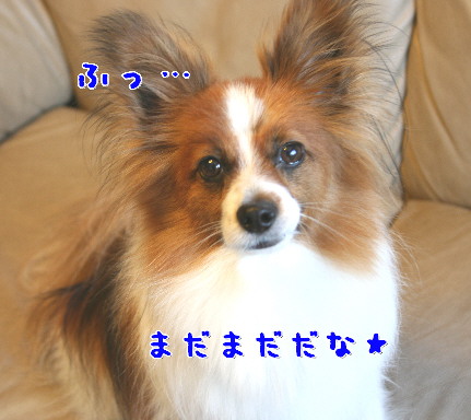 d0013149_11514167.jpg