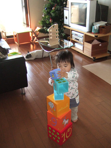 e0124857_1856887.jpg