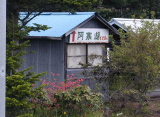 b0086858_1143222.jpg