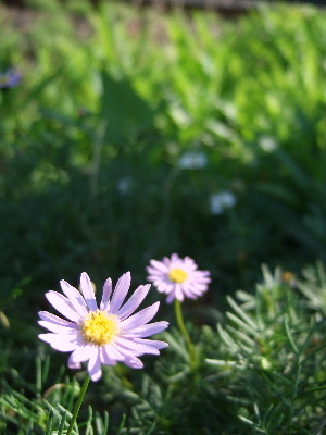 d0102664_1201962.jpg
