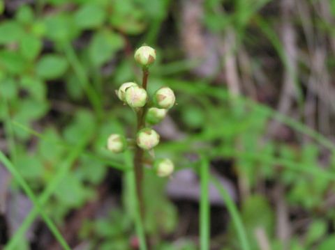 c0042869_2017364.jpg