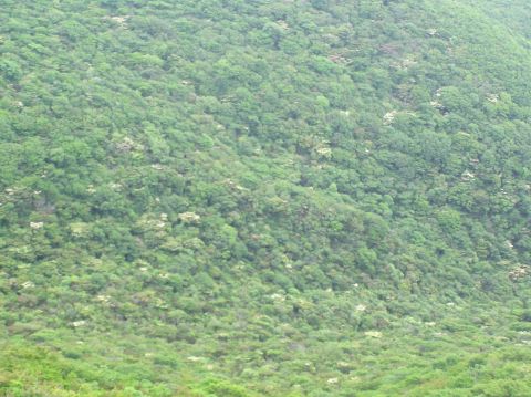 c0042869_20293753.jpg
