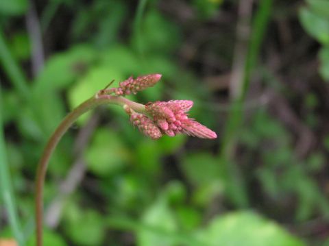 c0042869_203501.jpg