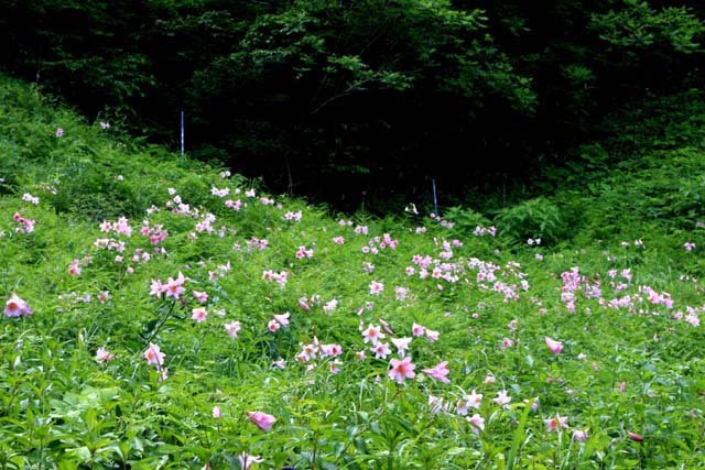 b0099970_145406.jpg
