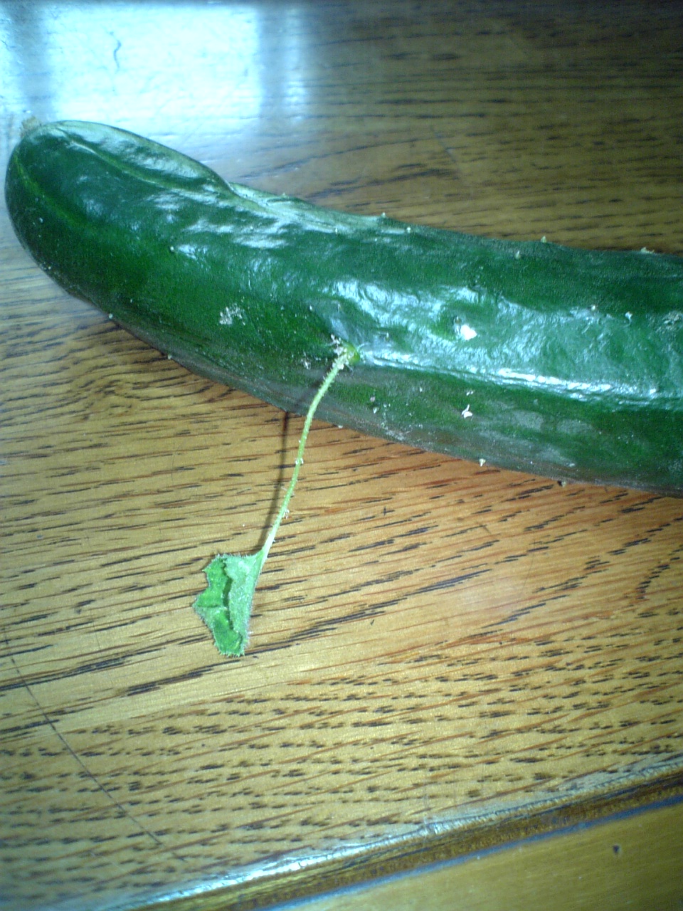 c0124776_671198.jpg