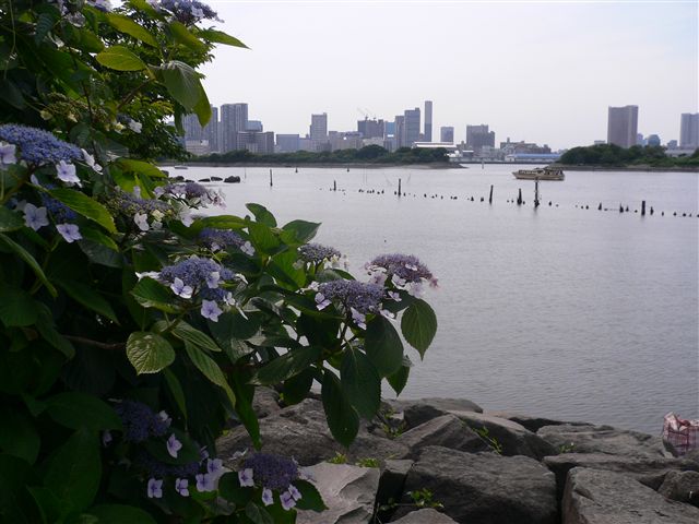f0001378_2045645.jpg