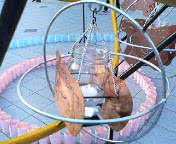 f0016981_094659.jpg