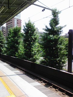 e0126094_1411339.jpg