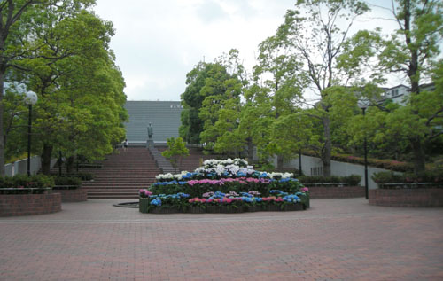 d0000995_13432940.jpg