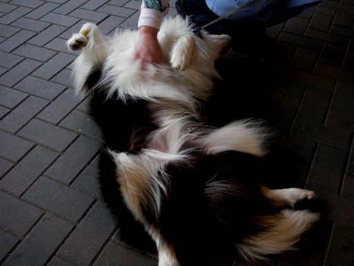 f0034602_20581071.jpg