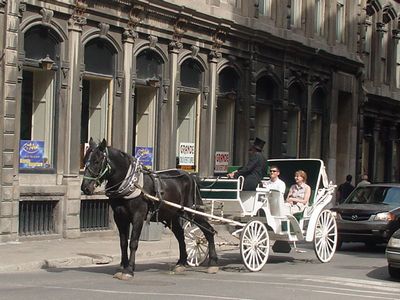 f0024303_246515.jpg
